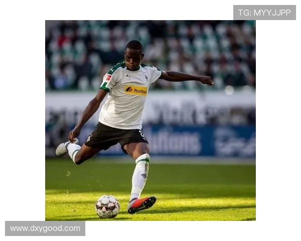 北美4大体育联赛成绩（北美四大联赛冠军）sports