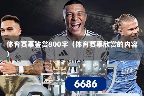 体育赛事鉴赏800字(体育赛事欣赏的内容)